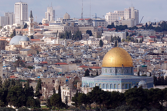 FES Palestine